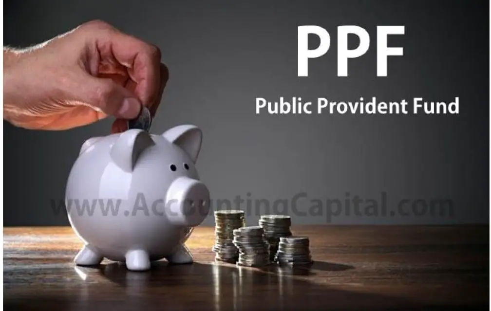 What Is PPF AccountingCapital what-is-ppf-accountingcapital