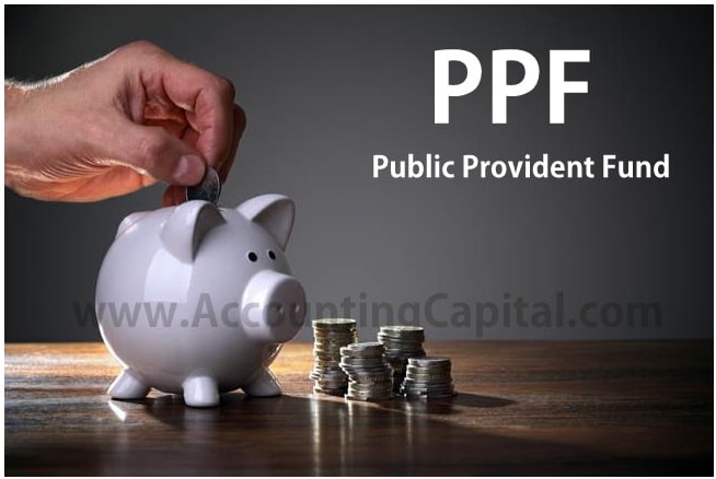 What is PPF?