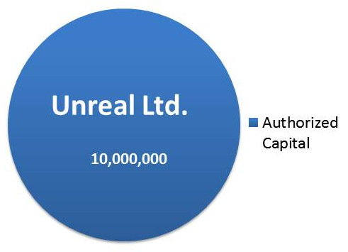 Image with example of Authorized Capital