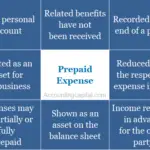 What are Prepaid Expenses?