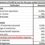 Where is Amortization shown in financial statements?