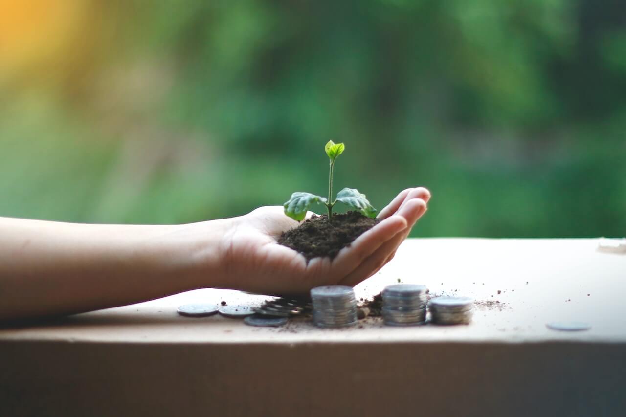 plant growing with coins