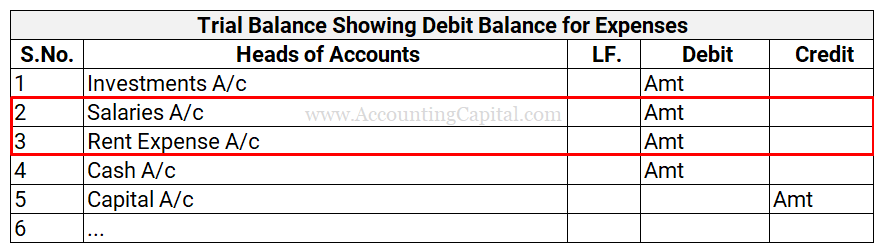 Trial Balance Showing Expenses with a Debit Balance