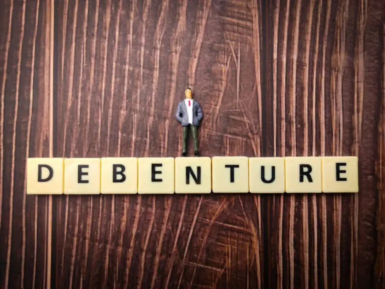 Why Pro Investors Prefer to Invest in Debentures?